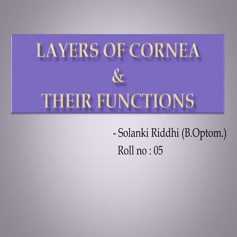 Layers of cornea