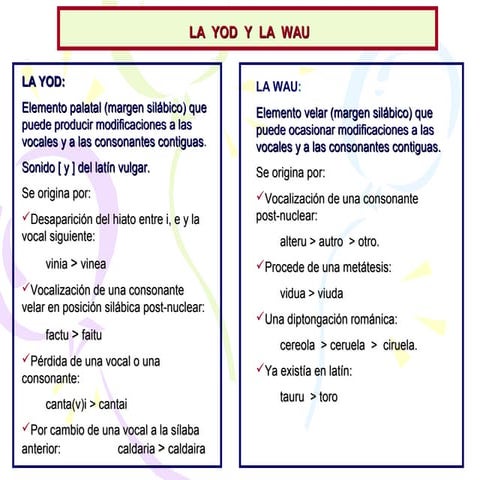 La yod | PPT