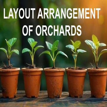 Comprehensive Guide to Orchard Layout and Planting Systems | PPTX