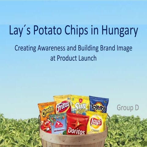 Consumer Behavior - Lays Potato Chips Hungary