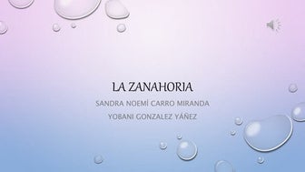 la zanahoria datos interesantes y mas :3