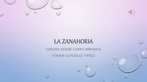 la zanahoria datos interesantes y mas :3