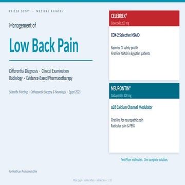 Comprehensive Management of Low Back Pain: Diagnosis to Pharmacotherapy ...