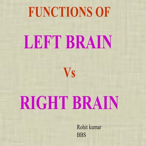 Left Brain Vs Right Brain