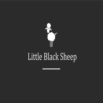 Little Black Sheep - Brand Playbook