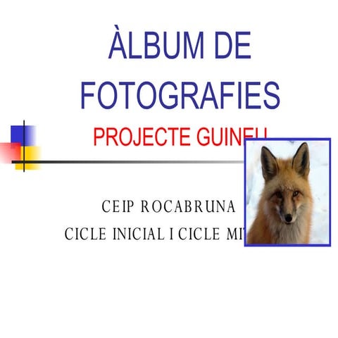 àLbum De Fotografie Smascara