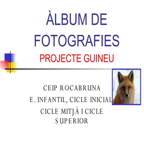 àLbum De Fotografie Steatre