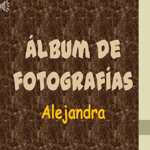 ÁLBUM DE FOTOGRAFÍAS