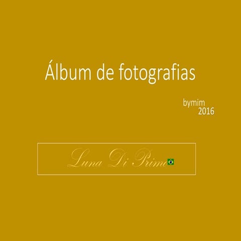 Álbum de Fotografias