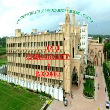 Liner Bases & Varnishes