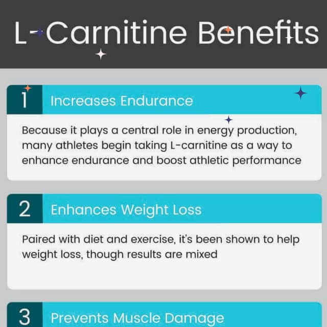 l carnitine Benefits.pdf