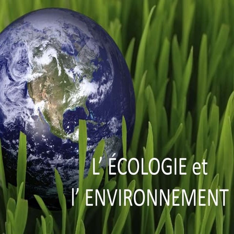 L’ écologie