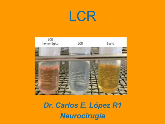 Punción lumbar y análisis del liquido cefalorraquideo en.pdf | Brain ...