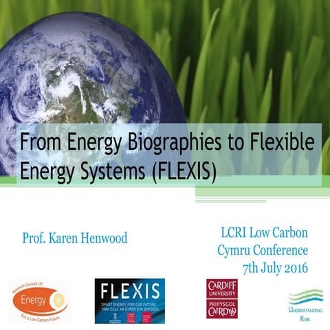 From Energy Biographies to Flexis