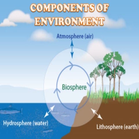 component of environment