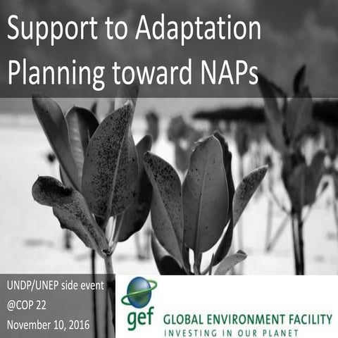 Support to Adaptation Planning Toward National Adaptation Plans