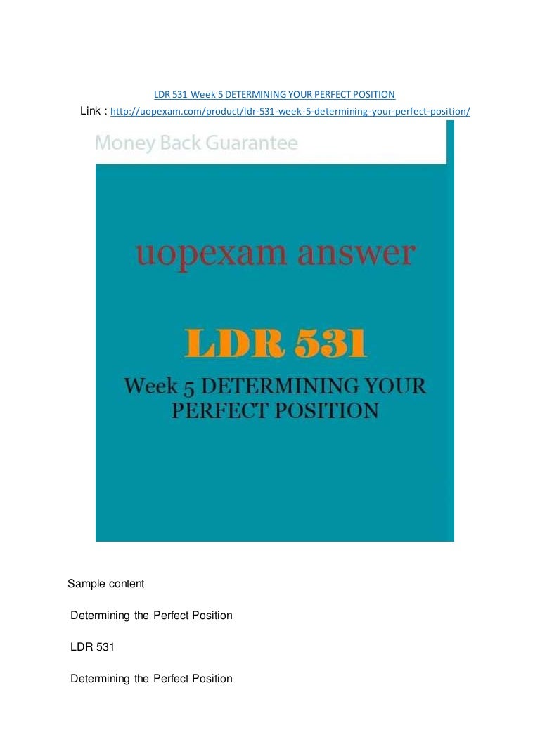 Ldr 531 determining your perfect position paper 07 image