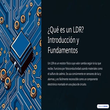 LDR EXPOSICION sobre funcionameiento.pptx