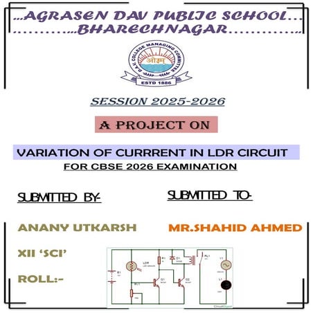 sample file for Physics Project 2024-25demo.docx