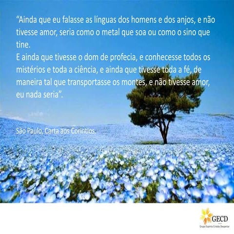 Livro dos Espiritos Q.291 ESE cap. 24 item12