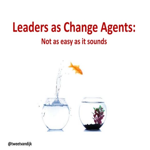 Leaders as change agents