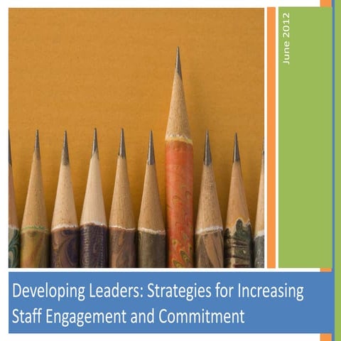 Leadership Development:  Strategies for Employee Engagement