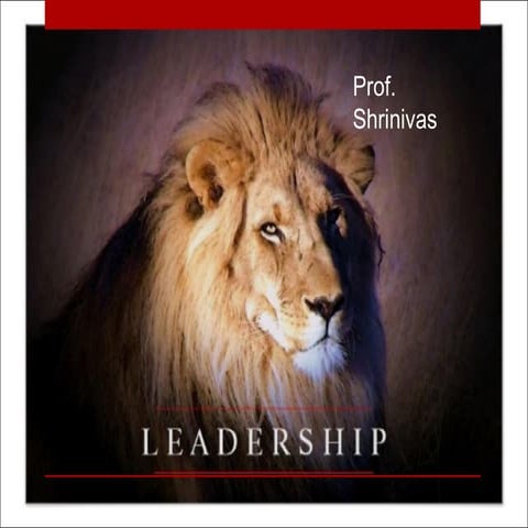 Leadership - Organisational Behavior