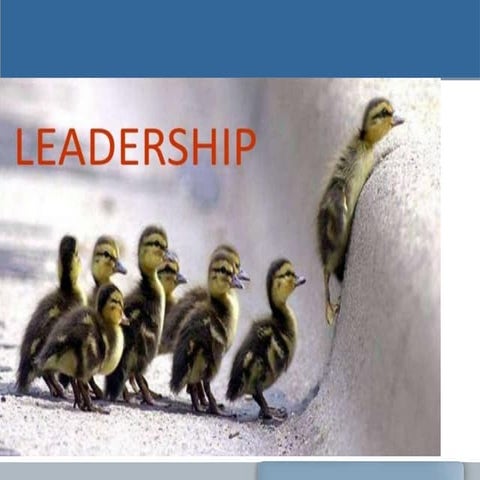 Leadership