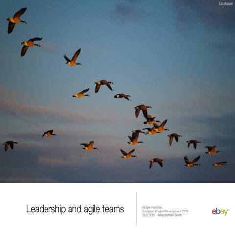 Leadership and agile teams