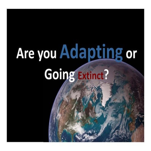 Leadershipand Sustainability Next Iteration