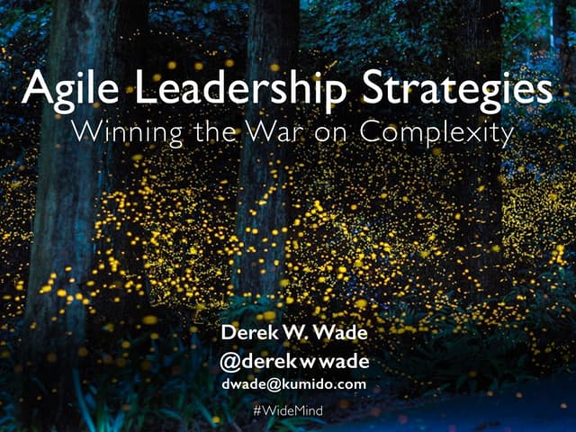 Complexity, Emergence, Leadership, and "Wide Mind"