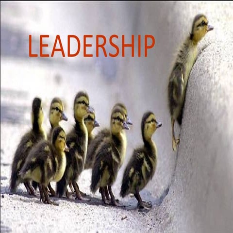 Leadershipconceptsandtheories 120810034143-phpapp01