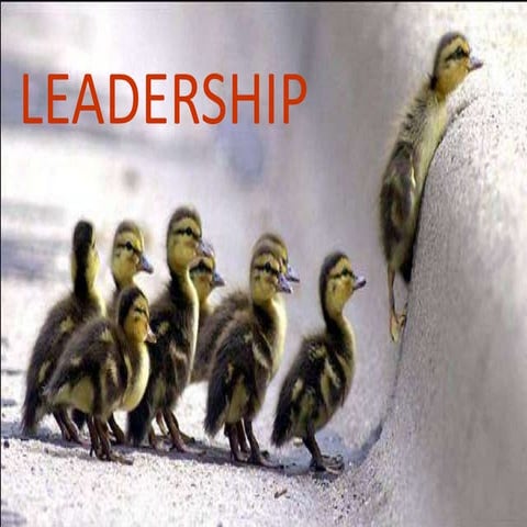 Leadership concepts and theories