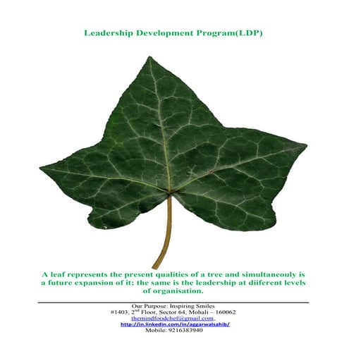 Leadership development program