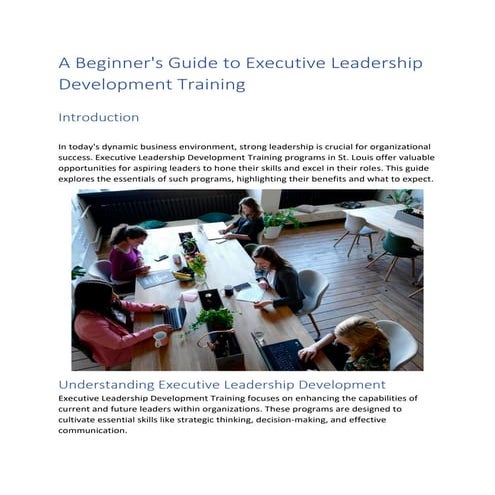 Understanding Executive Leadership Development