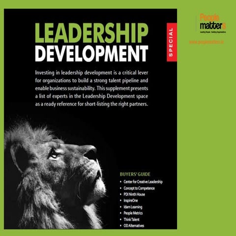 Leadership Development Service Providers