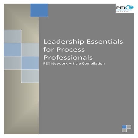 Leadership Essentials For Process Professionals
