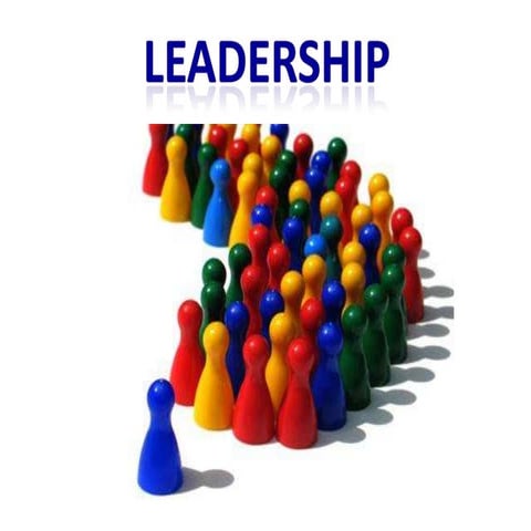 Leadership in Networking