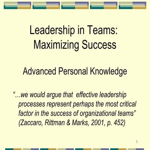 Leadership in team maximizing success