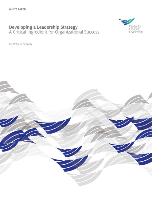 Leadership strategy (2)