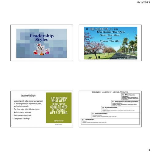 Leadership styles ( by Zeeshan Syed. Lean Sigma Practitioner.)