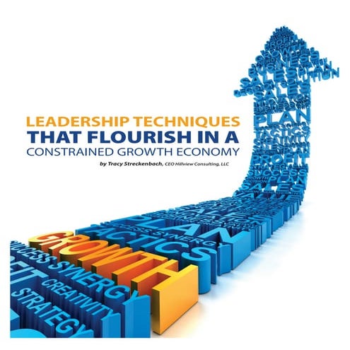 Leadership Techniques   Dec 2012