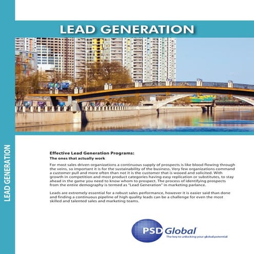 FREO case study - implementing marketing automation | PDF