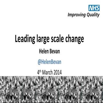 Leading large scale change Helen Bevan