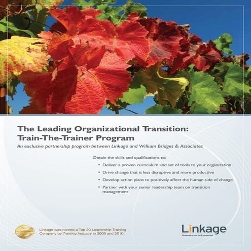 T2 innovationportfolio101a | PDF