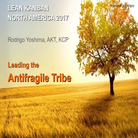Leading The Antifragile Tribe