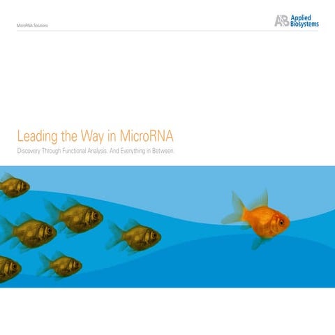 What is MicroRNA? - Leading The Way with MicroRNA