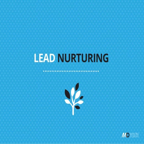 Lead Nurturing