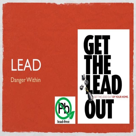 Lead in the Home