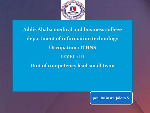 Lead small team